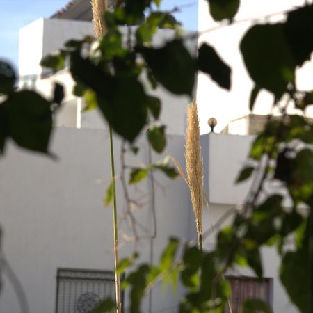 Residence Sterne Hammam al Ghazzaz エクステリア 写真