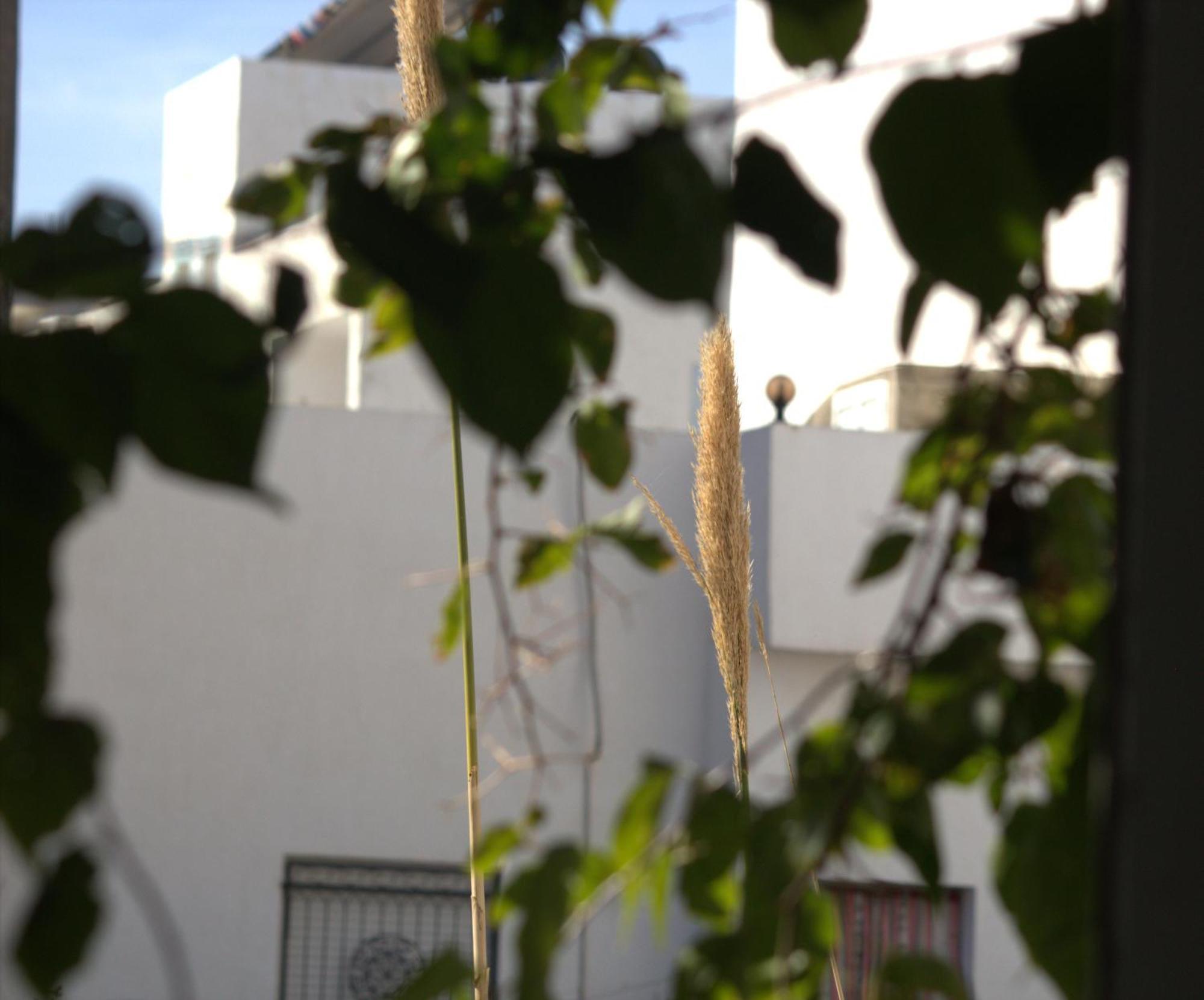 Residence Sterne Hammam al Ghazzaz エクステリア 写真
