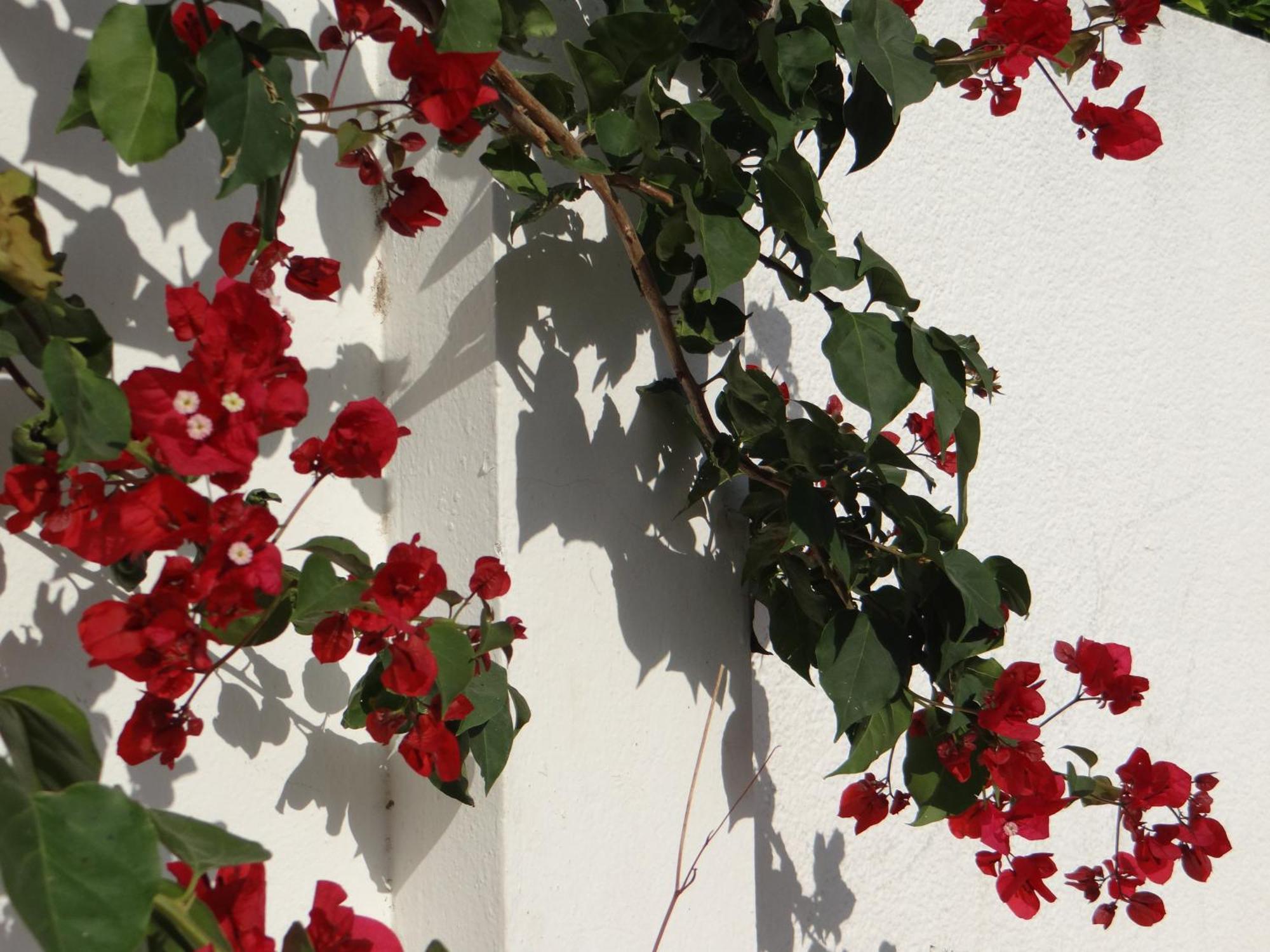 Residence Sterne Hammam al Ghazzaz エクステリア 写真